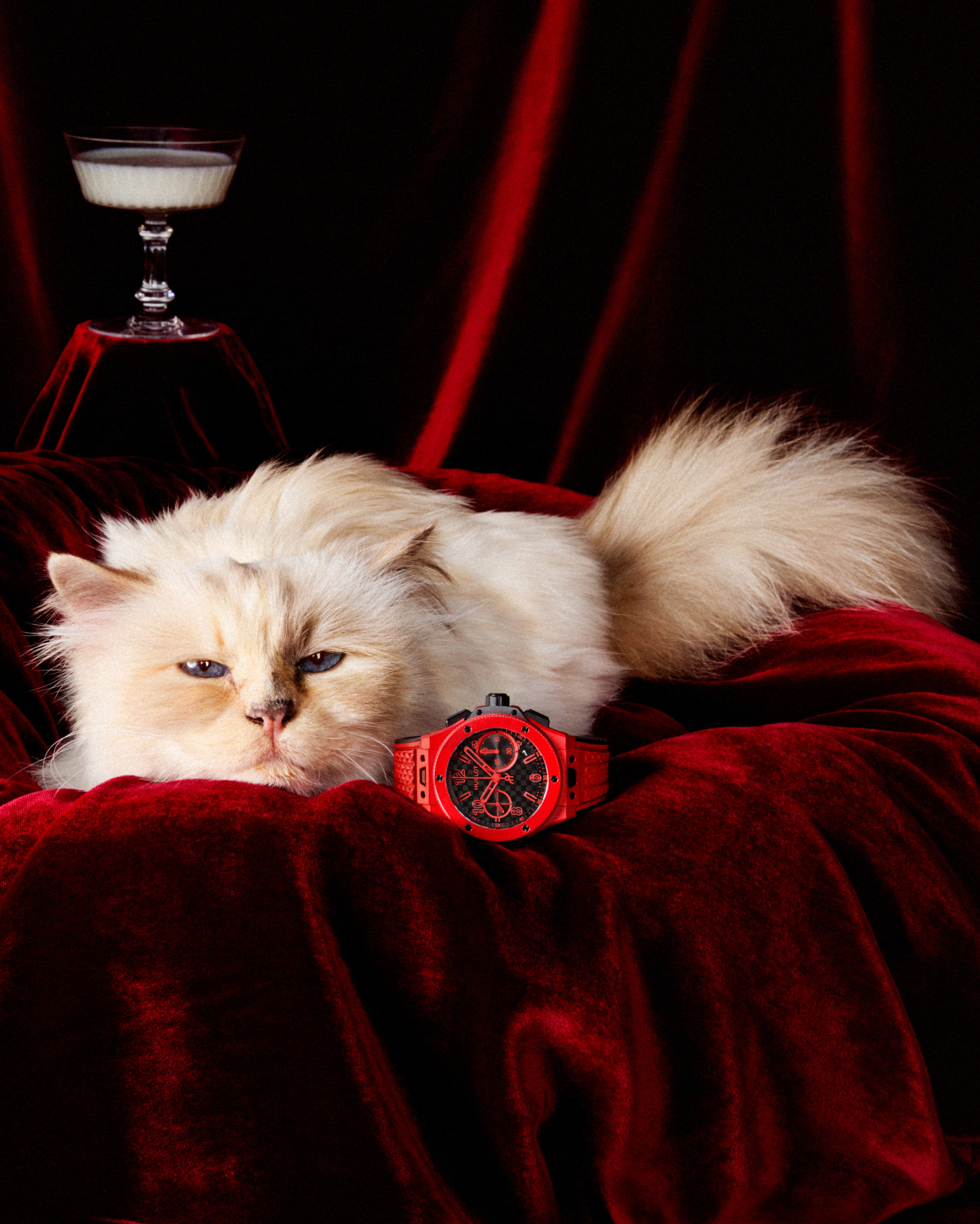 Hublot_Big Bang campaign _OWN IT__